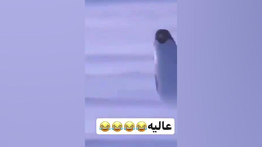 عالیههههههههه