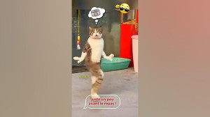 .............