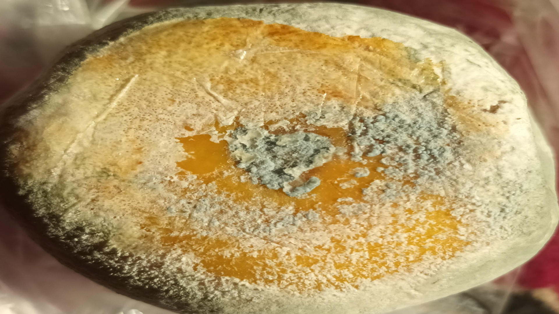 تقلب در فروش یخچال دیپوینت