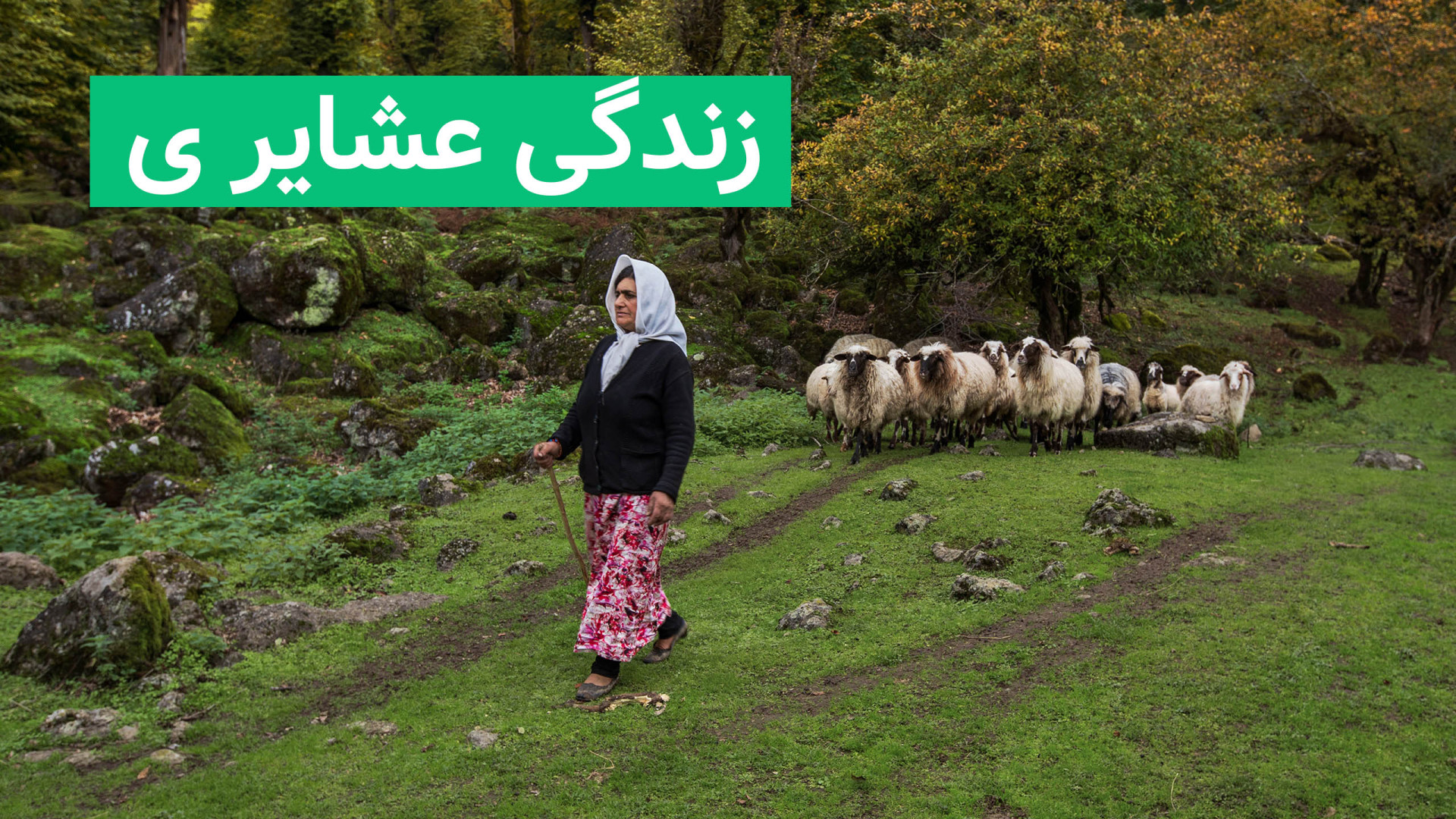 زندگی عشایر در کوهستان&zwnj;ها...