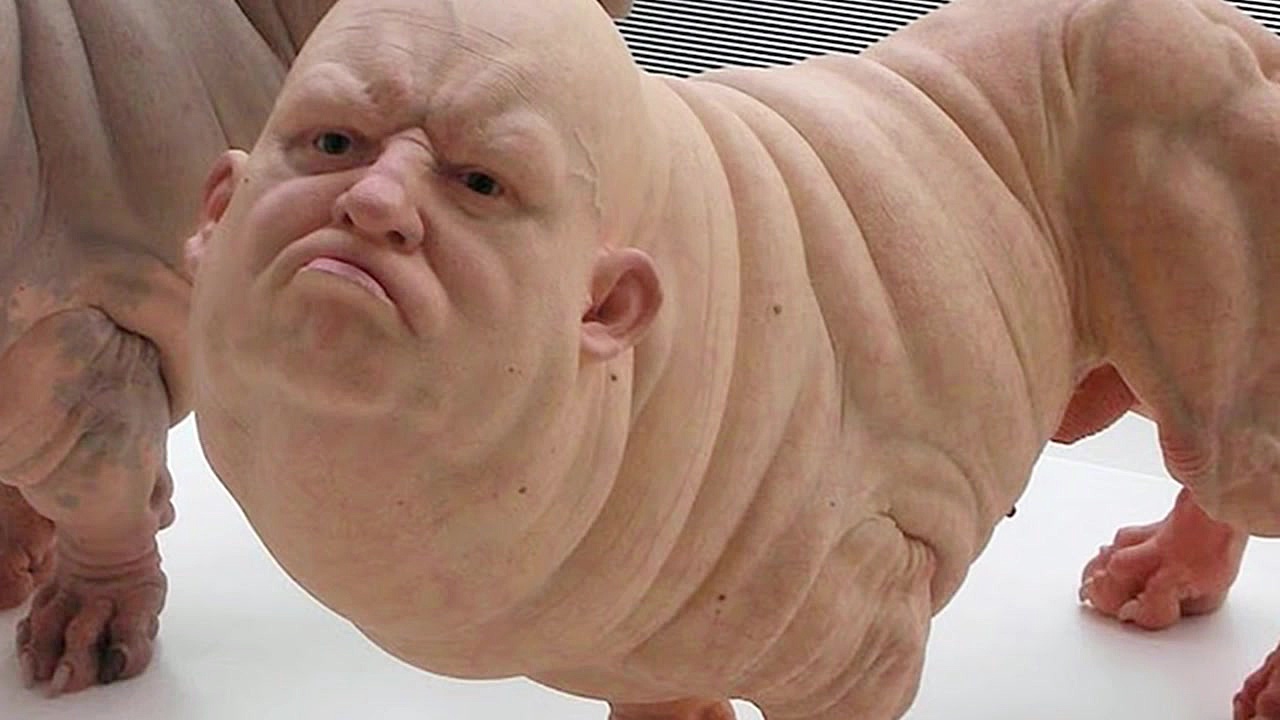 10 Most Amazing Animal Hybrids