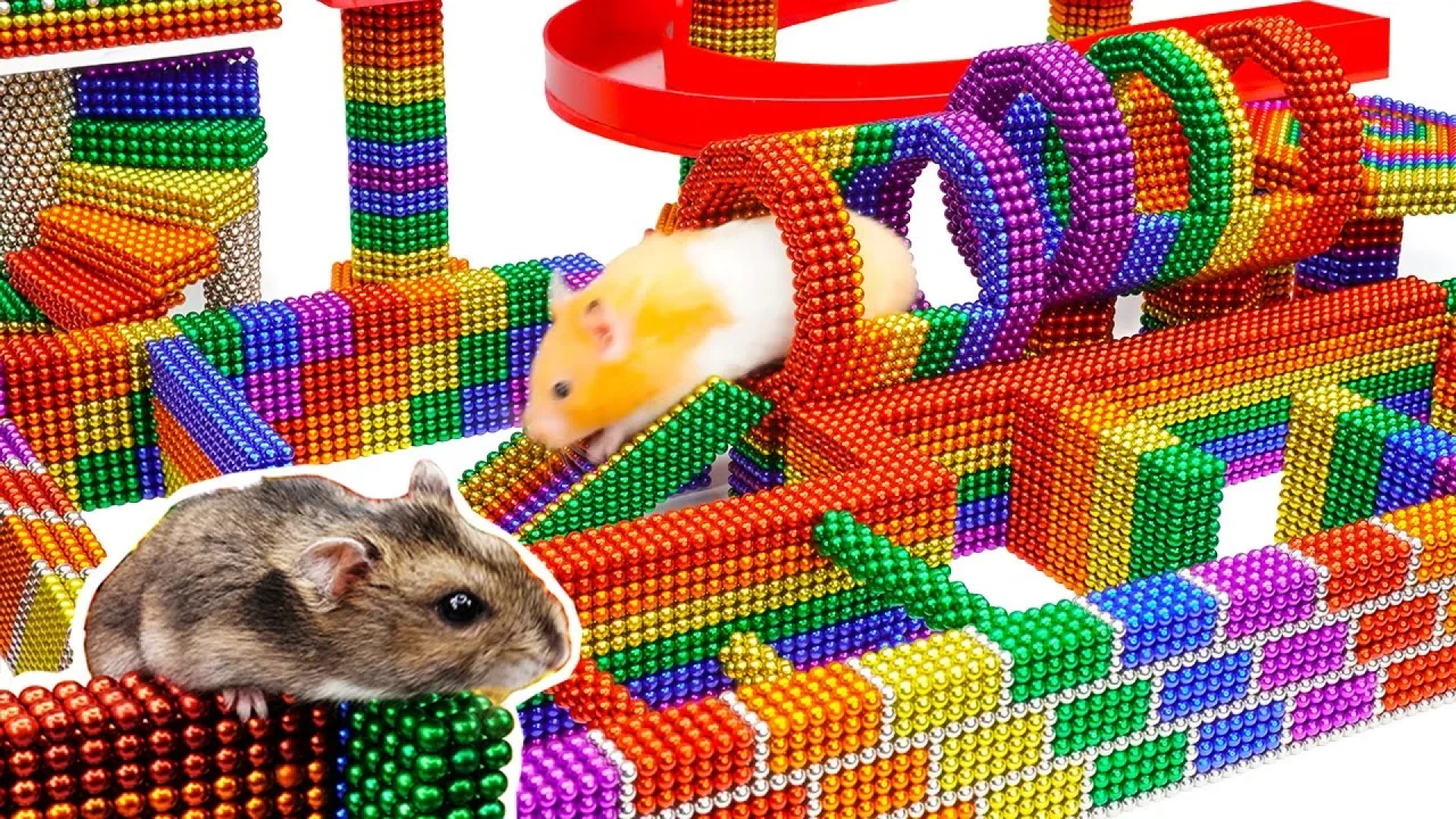 DIY Build Fantastic Maze For Hamsters Pet From Magnetic Balls Satisfying Mag