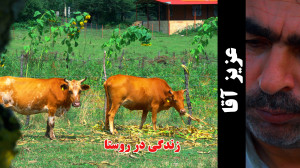 زندگی روستایی عزیز آقا بخش اول