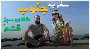 جنگل حرا  جزیره قشم