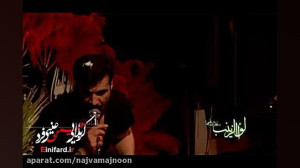 عینی فرد دهمین سالگرد ذاکر