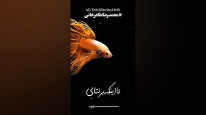 ماهی و اب