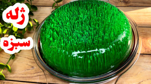 طرز تهيه ژله تزريقي سبزه ژله س...