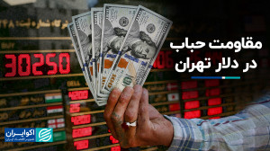 ارز مسافرتی در بازار کماکان نق...