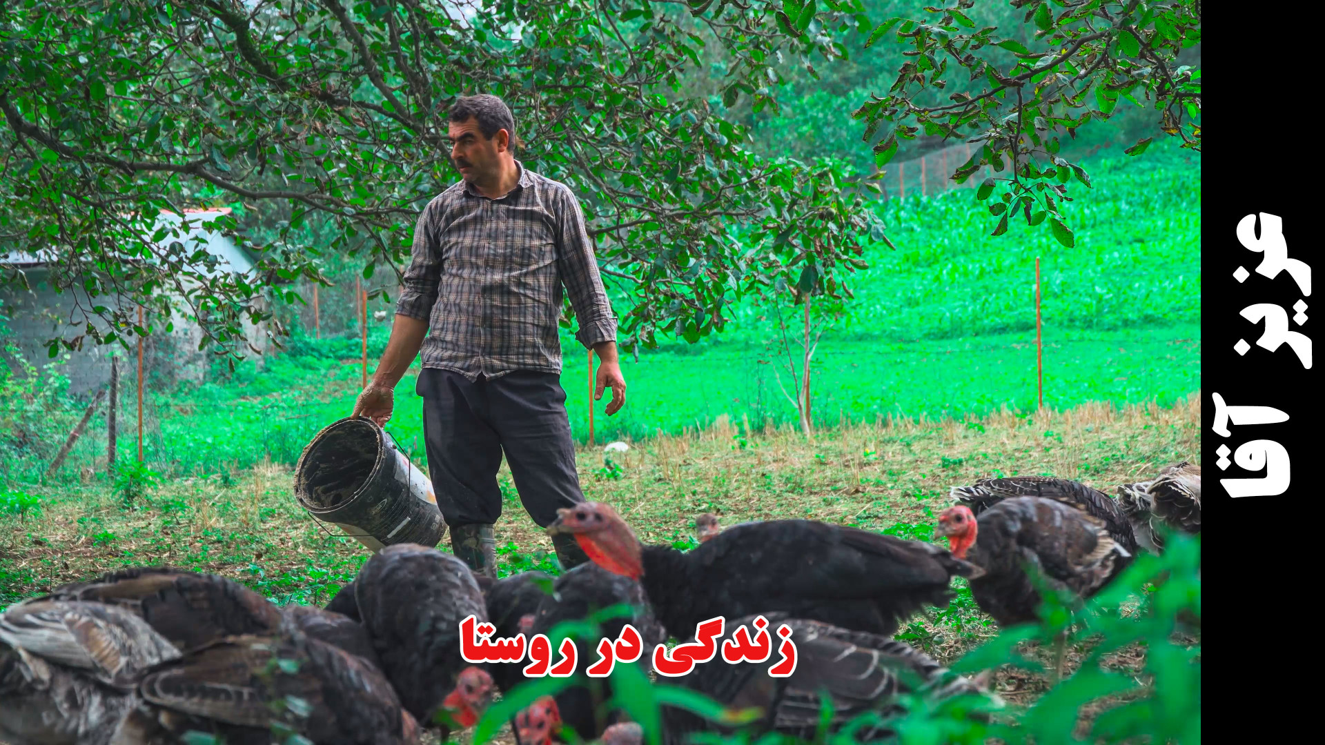 زندگی روستایی عزیز آقا بخش آخر