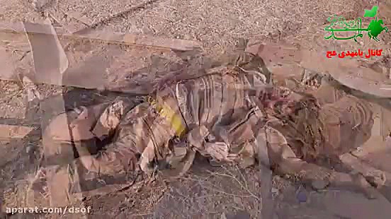 قلع و قمع داعشی ها توسط ارتش ت...