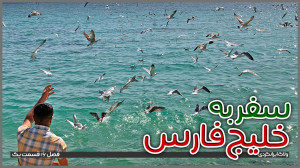سفر به سواحل خلیجفارس | قسمت...