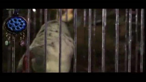 کلیپی دیگر از فیلم ساعت شلوغی