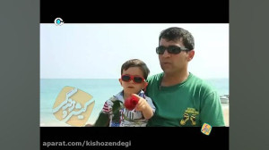 کیش و زندگی  فضای مجازی  آسیب...