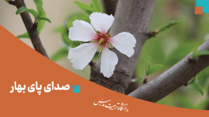 صدای پای بهار در دانشگاه تربیت...