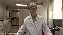 اطلاعات مفید و جالب در مورد مغ...