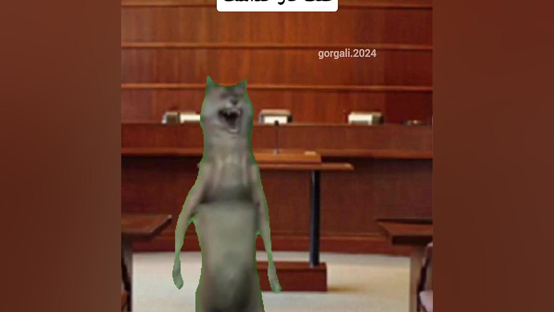 میم طنز گرگعلی پارت ۲