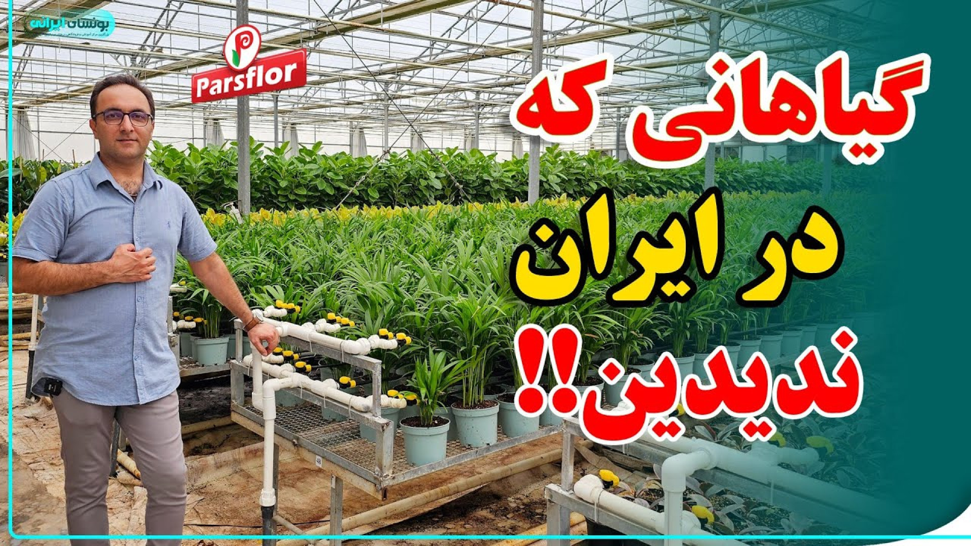 مجموعه ای پر از گیاهان منحصر ب...