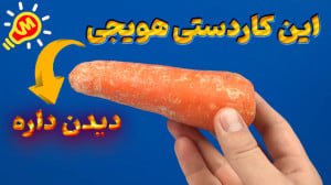 ساخت این کاردستی حتما روزی بکا...