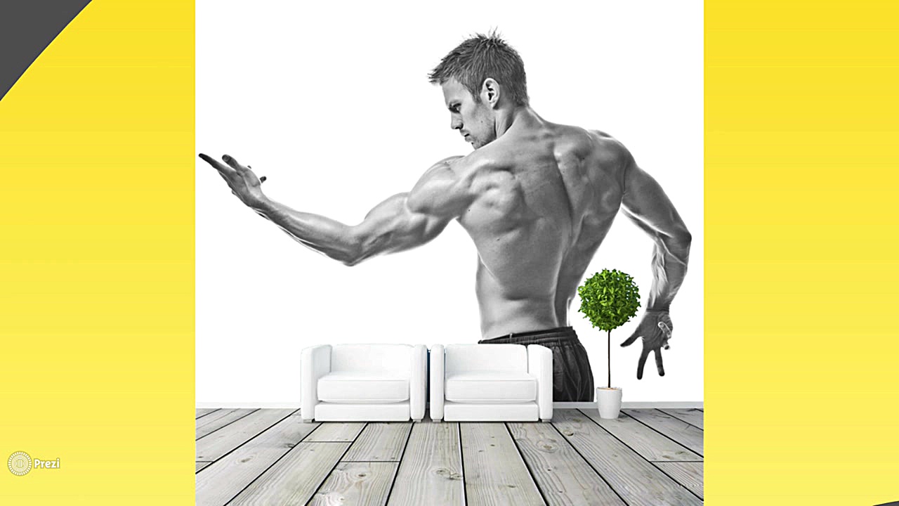 راهنمای اپلیکیشن روفرم (برترین...