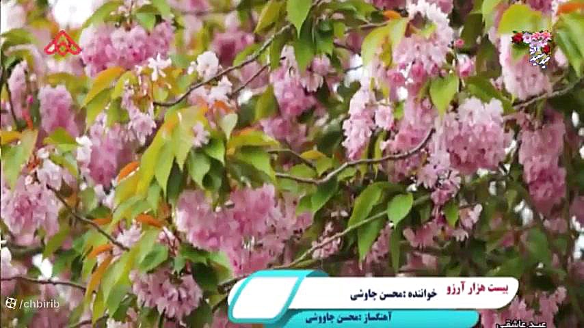 موزیک ویدئو عید فطر  محسن چاوو...