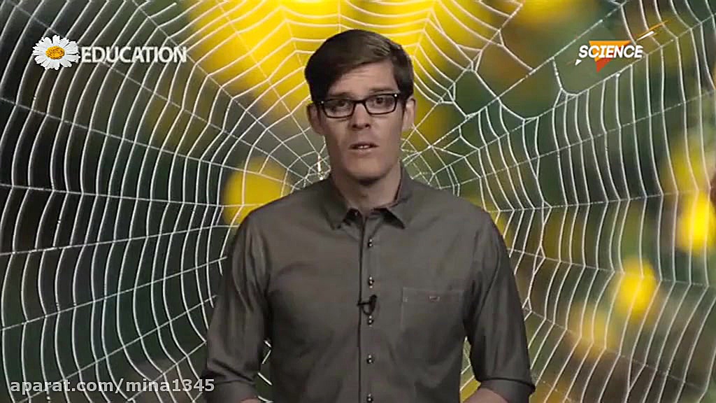 رابطه دی ان ای مادر و فرزند