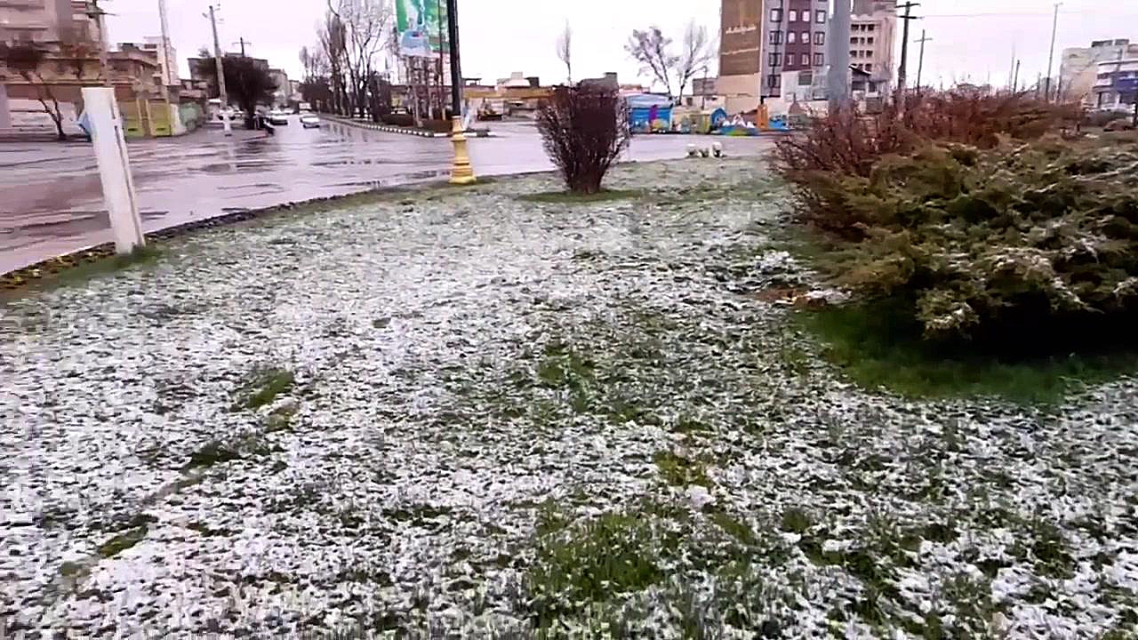 بارش زیبای برف درآخرین روز‌های...