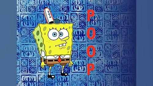 باب اسفنجی فارسی