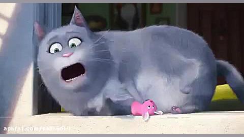 انیمیشن زندگی خصوصی حیوانات خا...