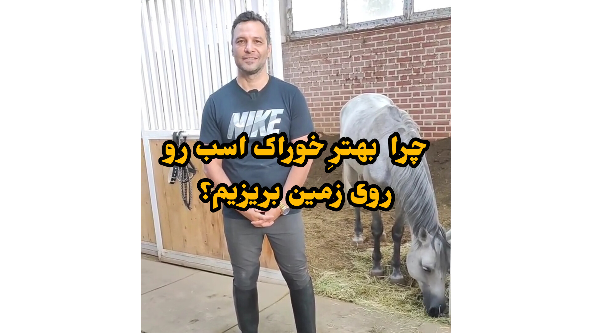چرا بهتر خوراک اسبها روی زمین...