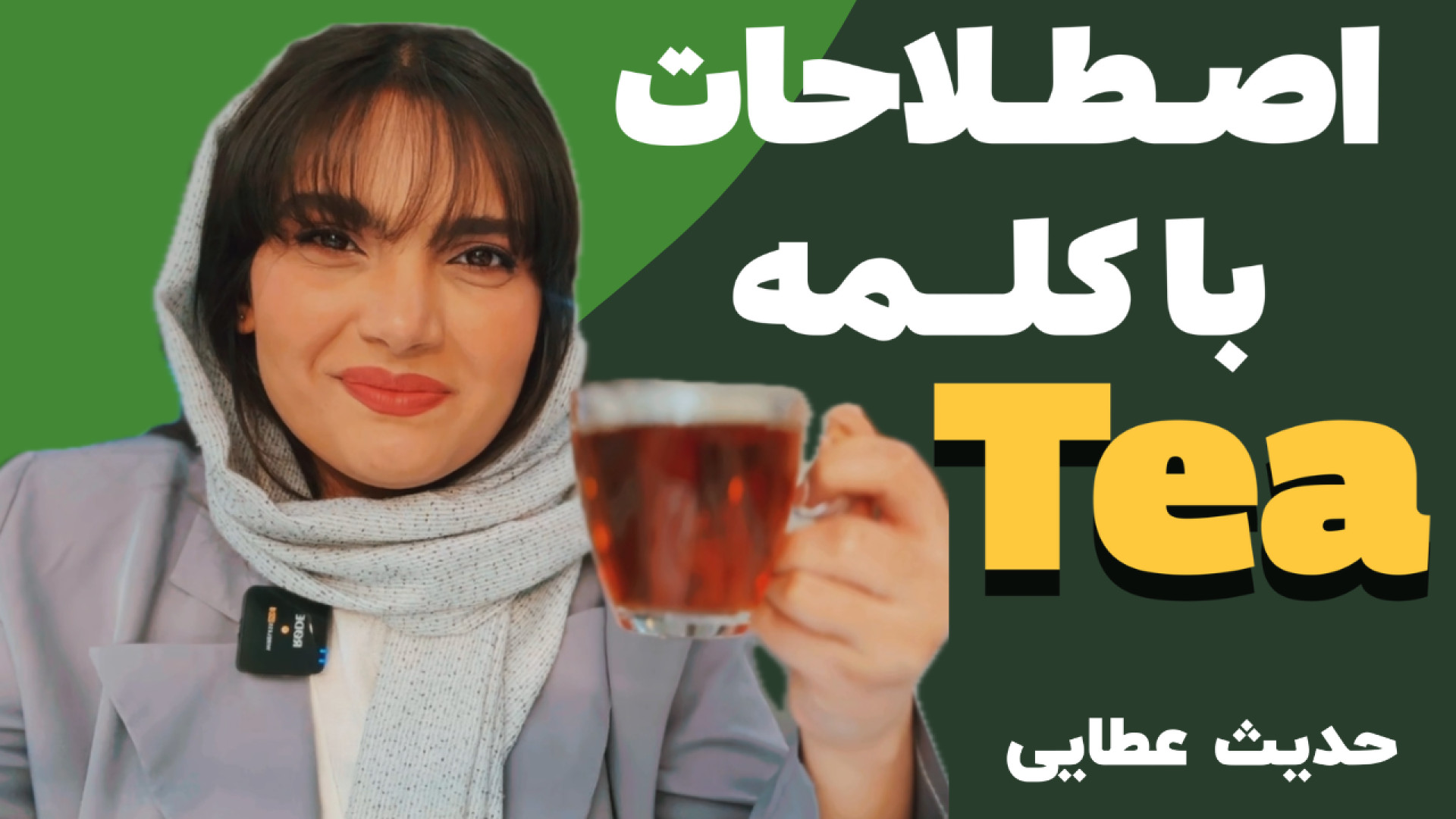 اصطلاحات زبان انگلیسی