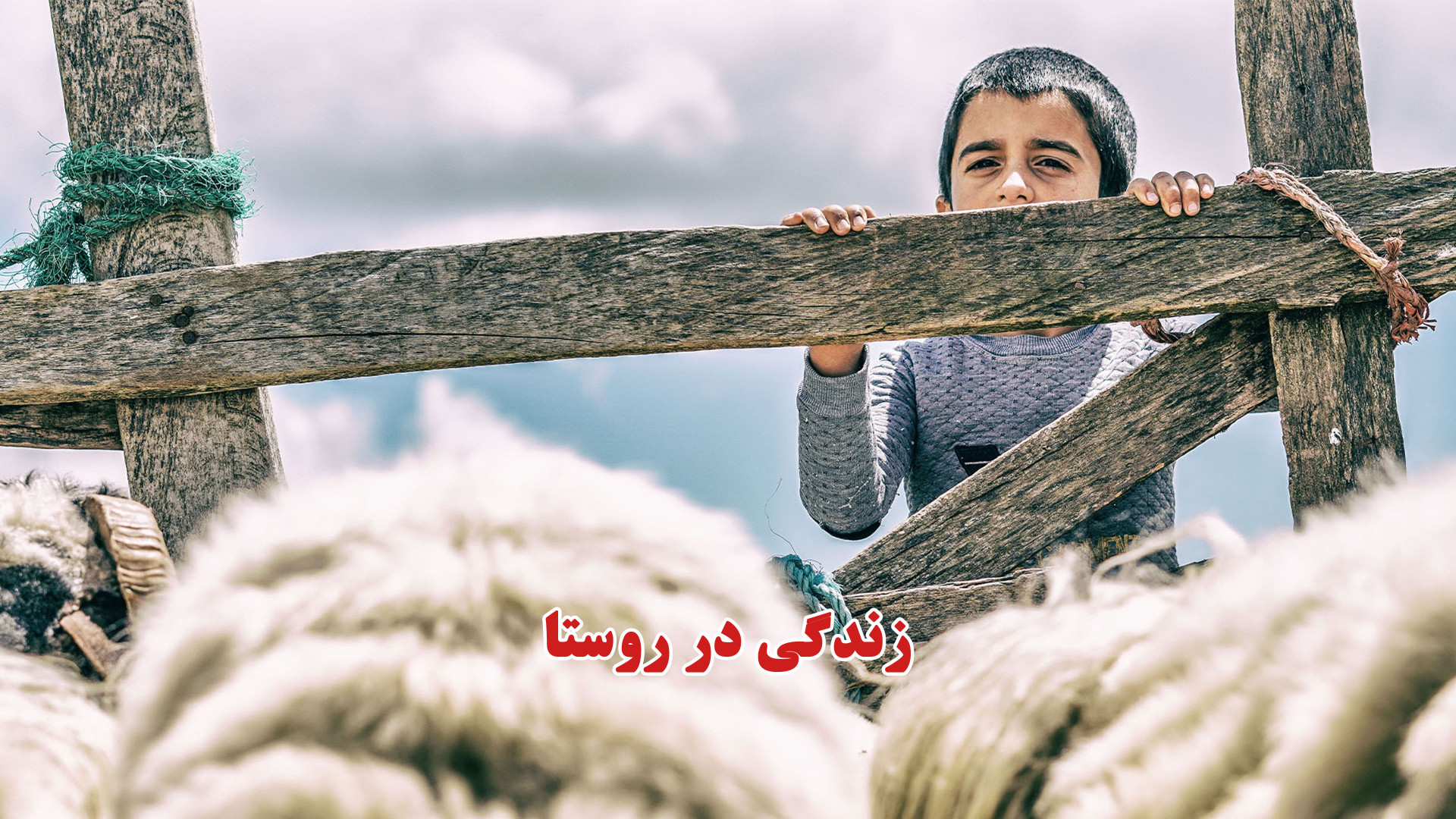 یک روز زندگی در کوهستان مه گرف...