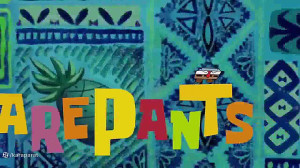 باب اسفنجی جدید و جذاب