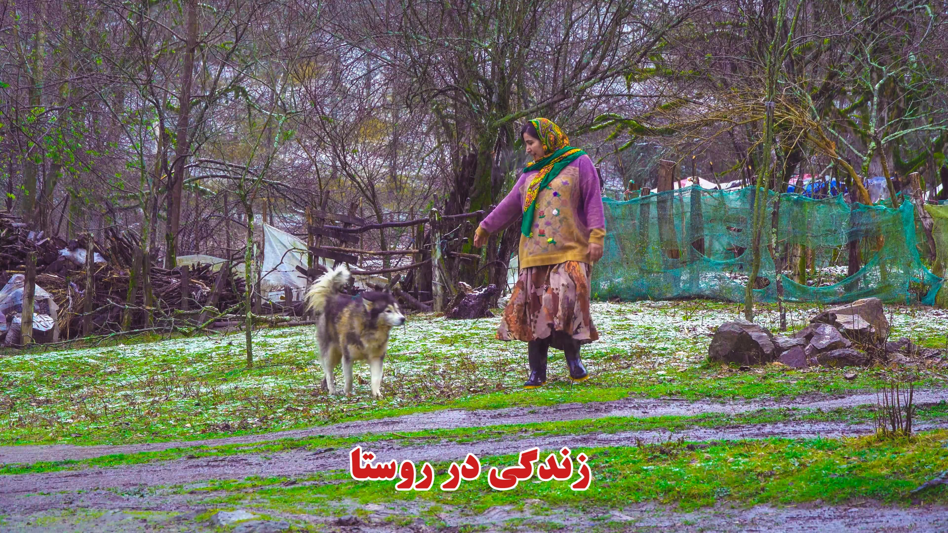 ماهی کباب در یک روز برفی در رو...