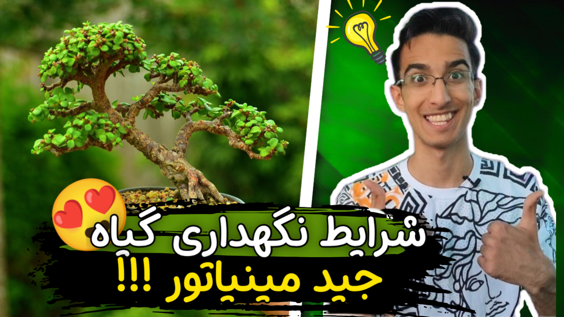 آموزش نگهداری گیاه کراسولا خرف...