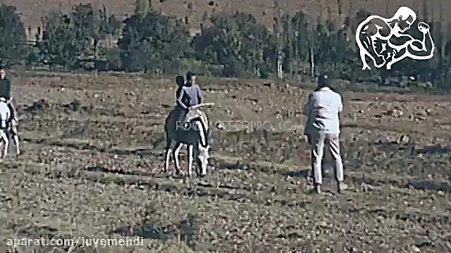 ایران سال 1352