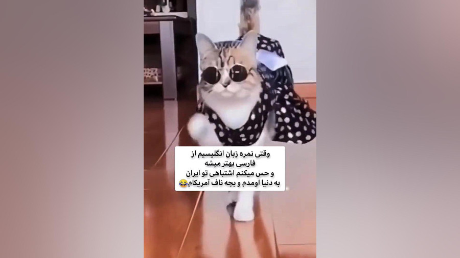 غعغ7عغ7ع