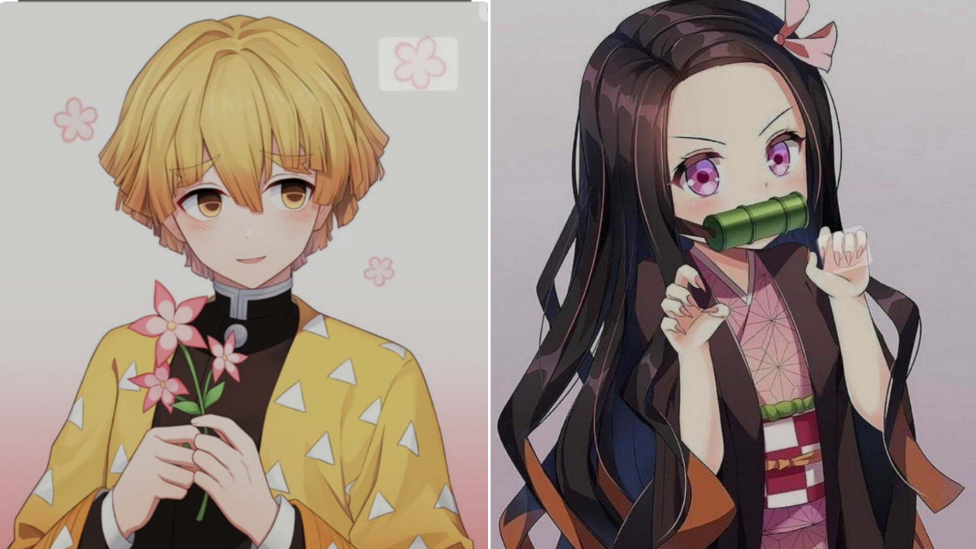  طنز زنیتسو و نزوکو!!