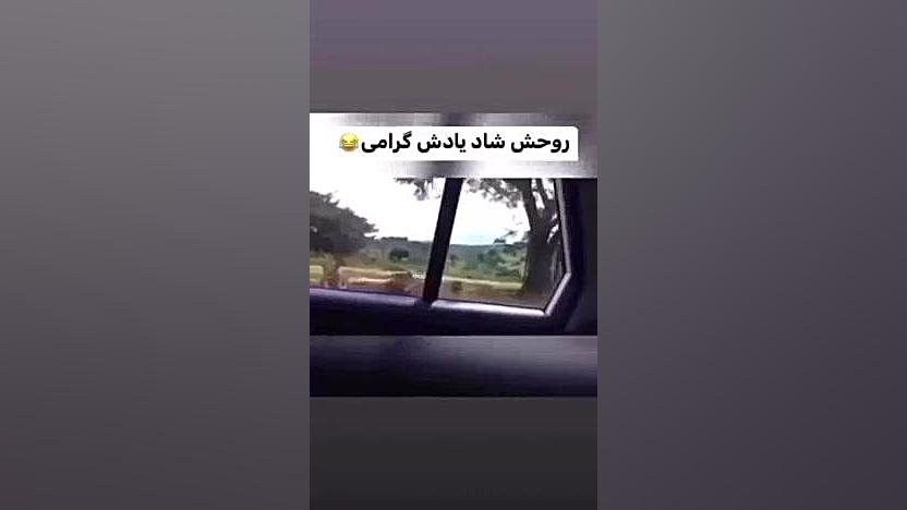 ویدیو ی خنده دار