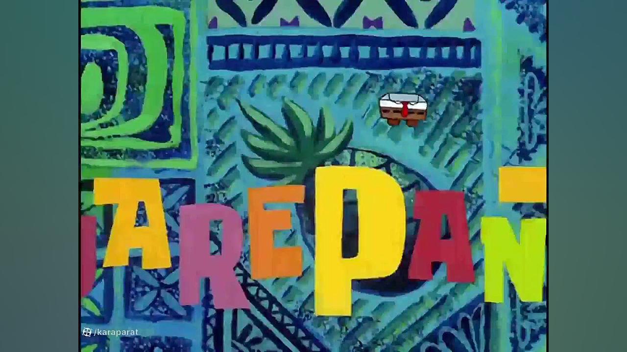 باب اسفنجی زیبا