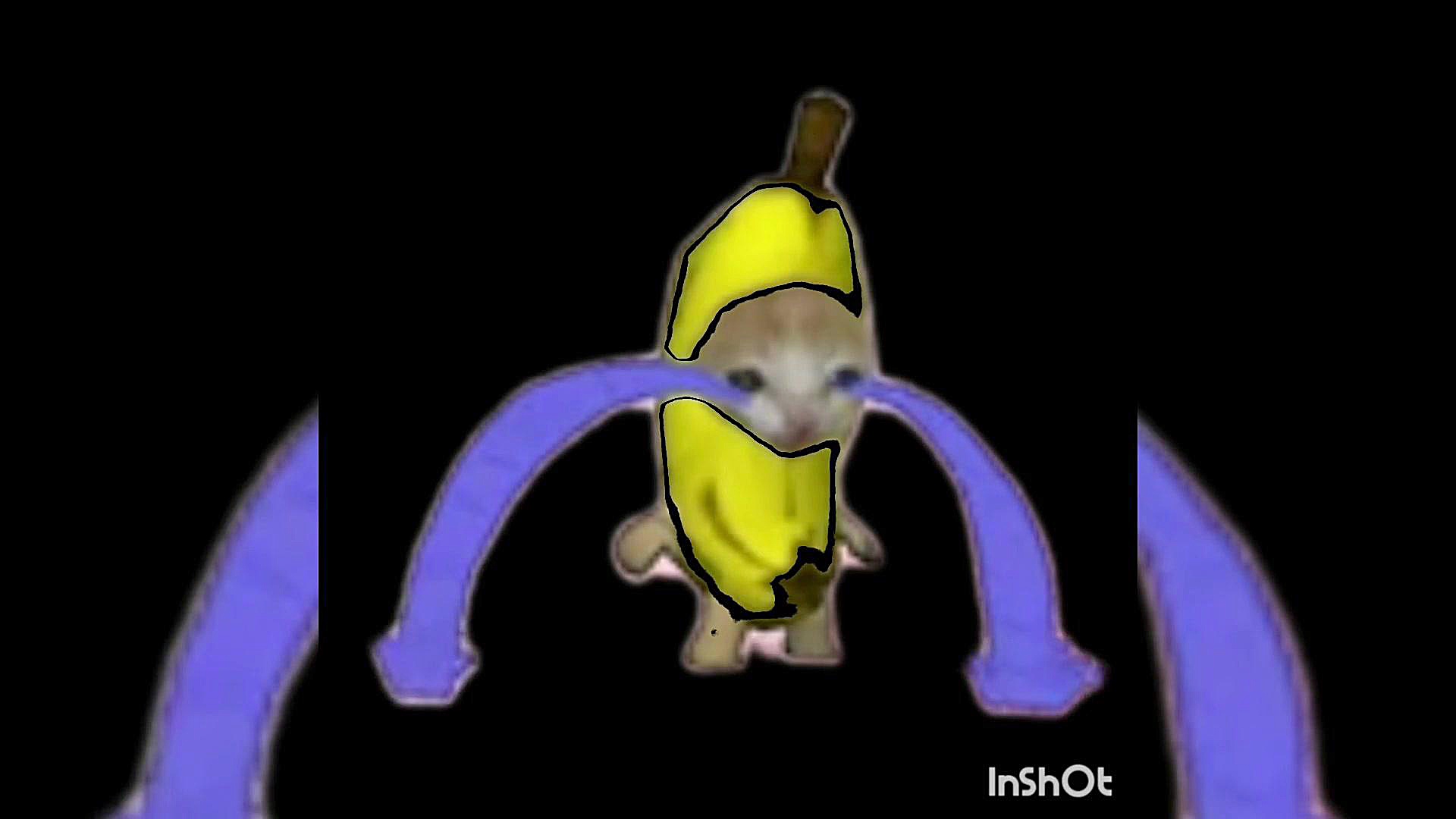 سم گربه ای پارت ۱