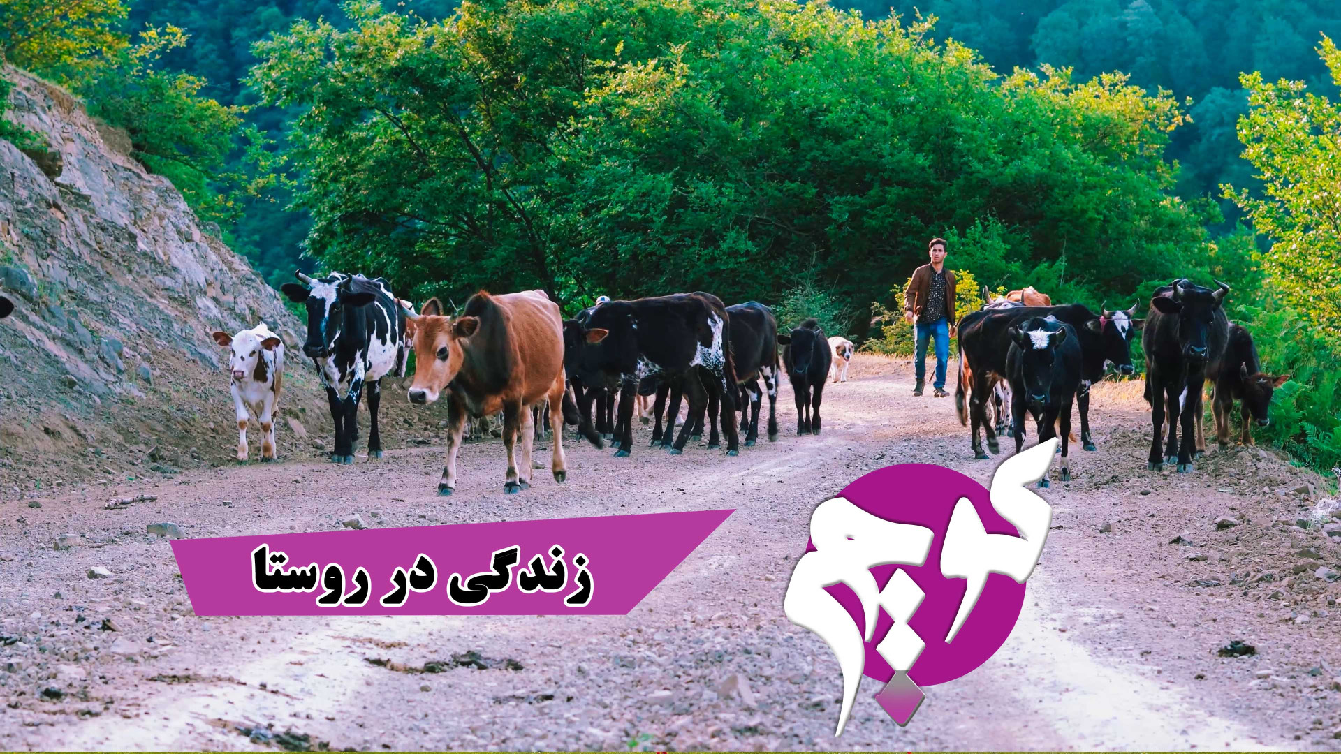 داستان یک کوچ(عشایر تالش)