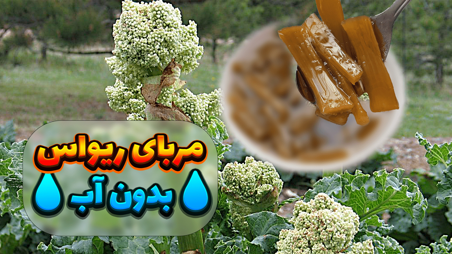 طرز تهیه مربای ریواس مربای ریو...