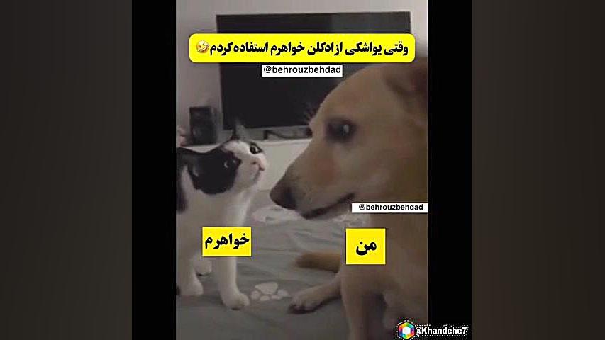 خنده&zwnj;دار