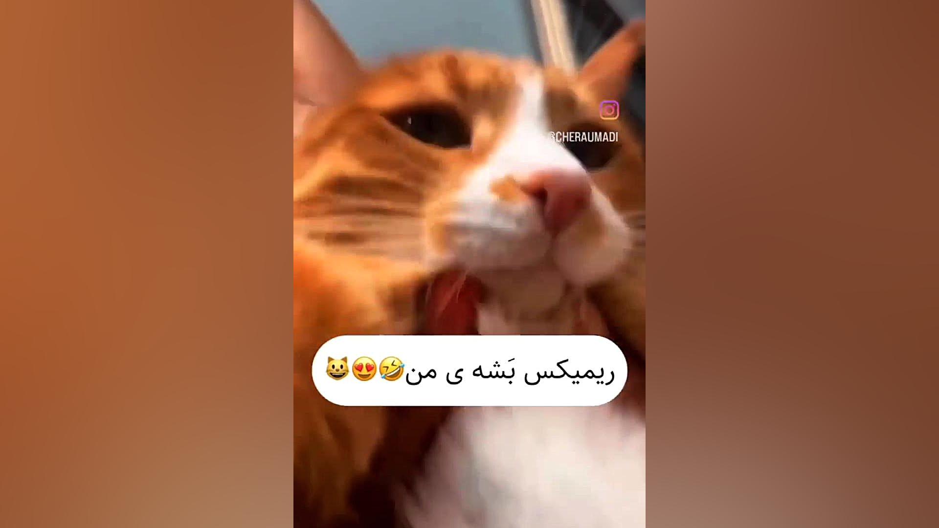 کلیپ بشه منه