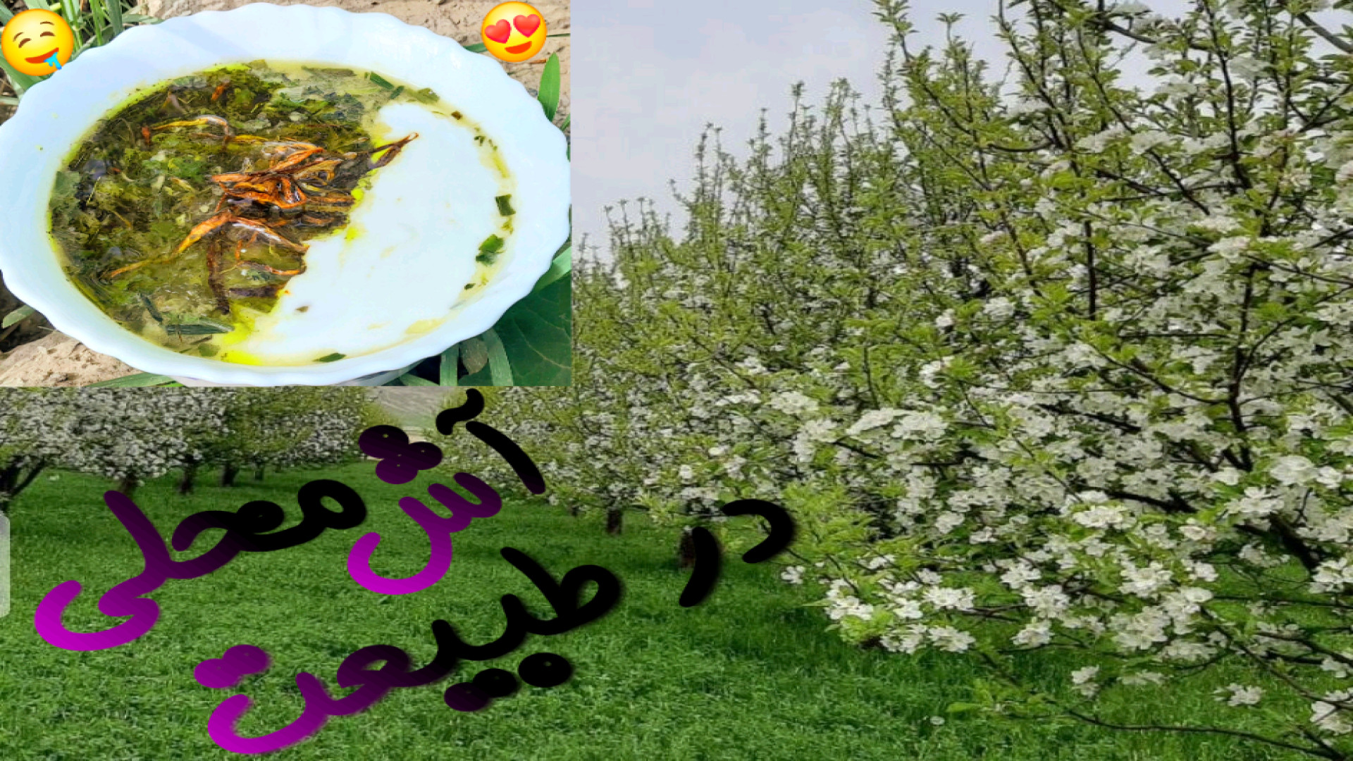 طرز تهیه آش ماست با سبزی کوهی...