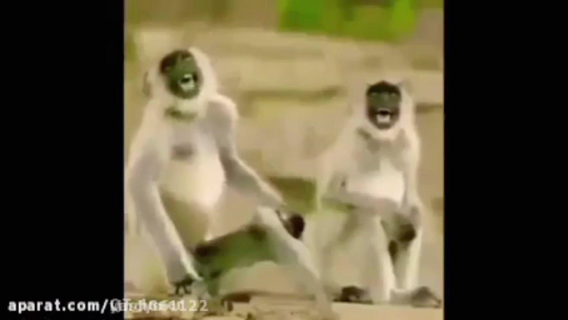 فیلم کوتاه برای ادیت ویدیو