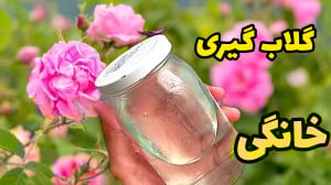 آموزش گلاب گیری خانگی به ساده...