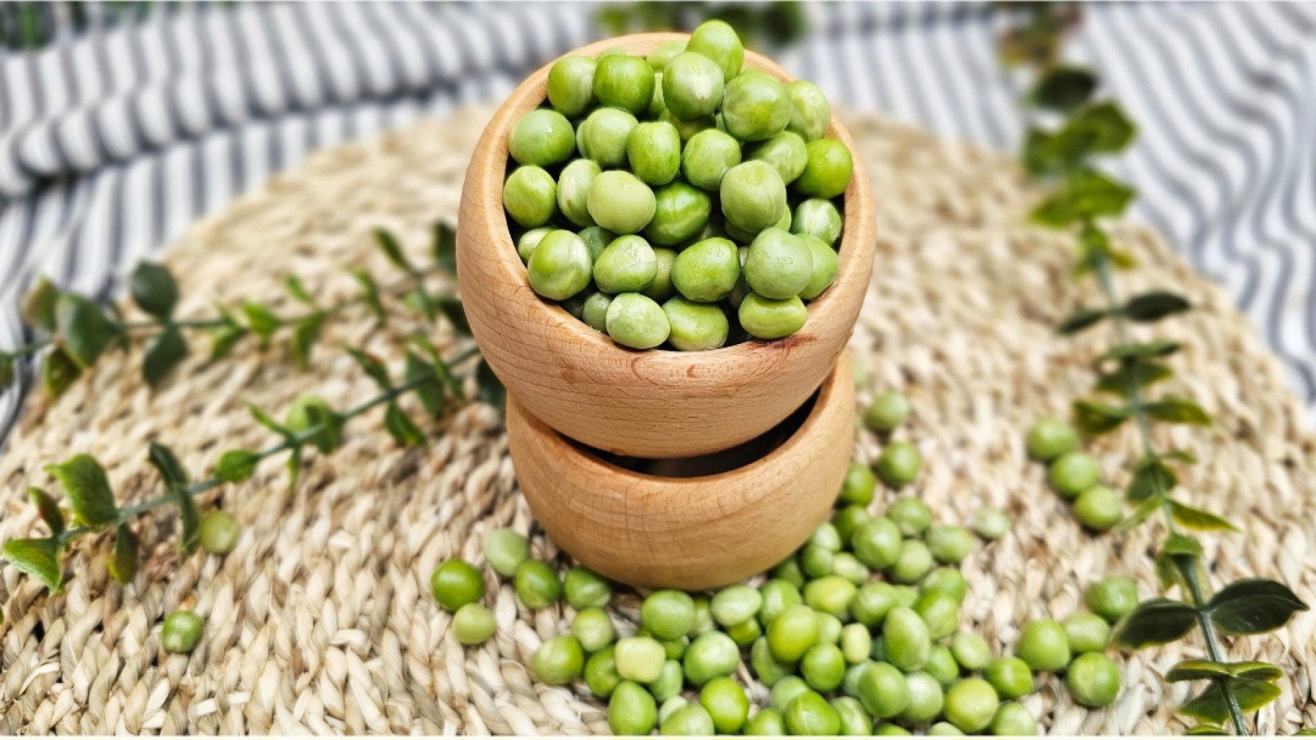 طرز تهیه کنسرو نخود فرنگی خانگ...