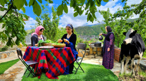 پخت دلمه با برگ انگور تازه و د...