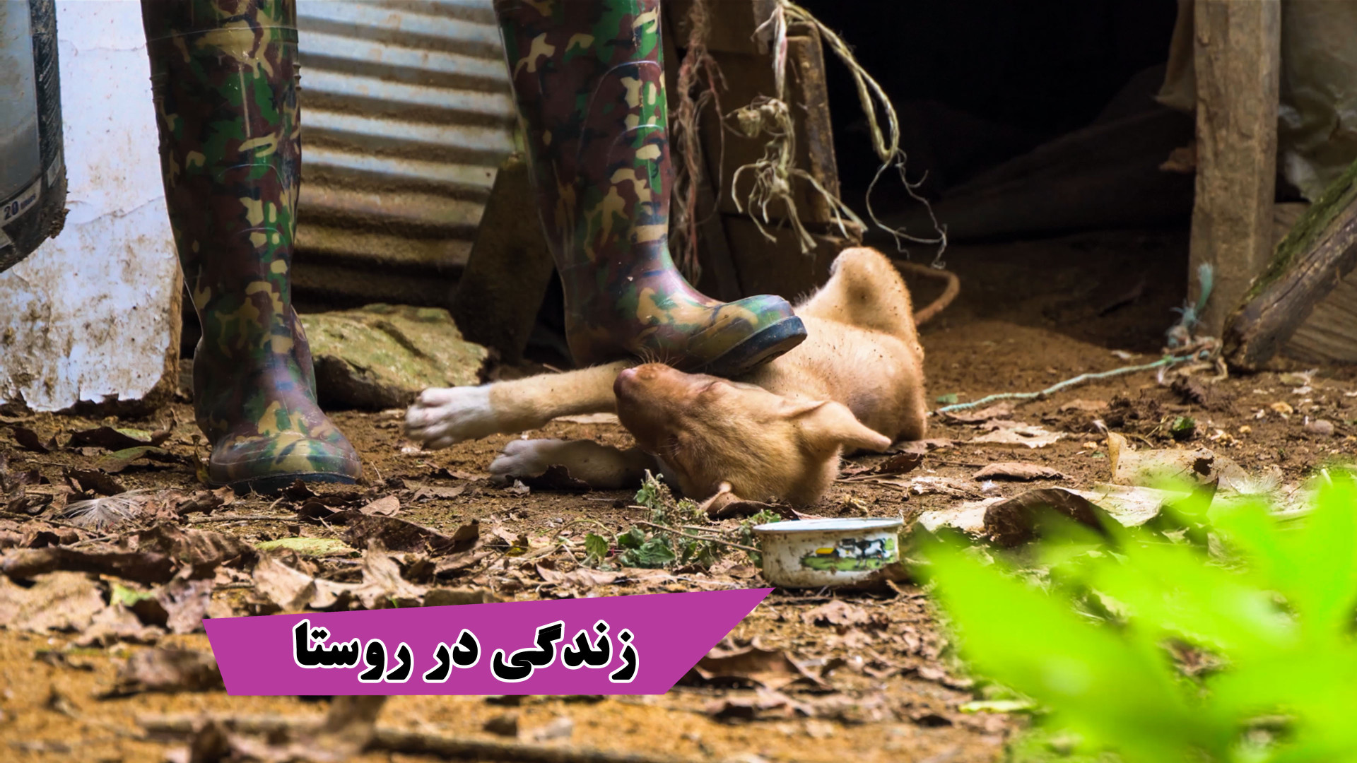 مردی با چکمه های آهنین زندگی ر...